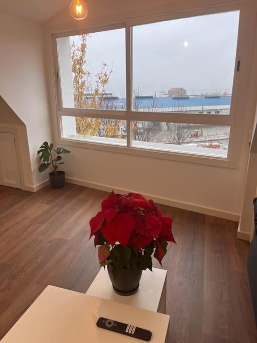 Apartament Atico Cork Vigo Zewnętrze zdjęcie