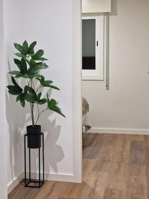 Apartament Atico Cork Vigo Zewnętrze zdjęcie